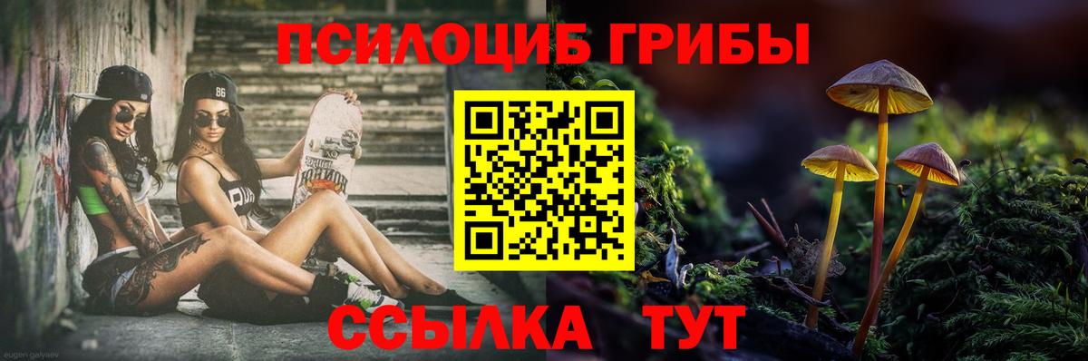 Галлюциногенные грибы мицелий Тимашёвск